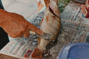 cleaning caught fish