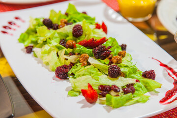 Ensaladas, Alta Cocina Internacional, Platillos Exquisitos