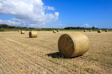 Panoramic view of agricultural field with straw bales