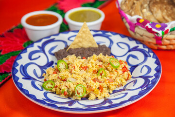Huevos a la Mexicana, Alta Cocina Internacional, Platillos Exquisitos