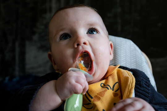 6 Month Old Baby Boy Feeding Himself With A Spoon In His Highchair