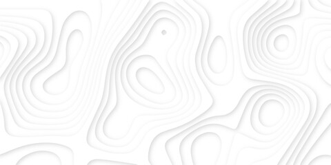 Abstract wavy line 3d paper cut white background. Topographic canyon geometric map relief texture with curved layers and shadow. Abstract realistic papercut decoration textured with wavy layers	
