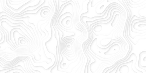 Abstract wavy line 3d paper cut white background. Topographic canyon geometric map relief texture with curved layers and shadow. Abstract realistic papercut decoration textured with wavy layers	
