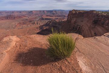 hiking the dead horse trail in dead horse point state park in utah, usa