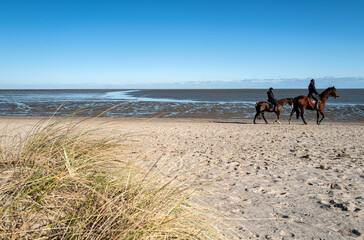 Schillig Strand mit Pferden