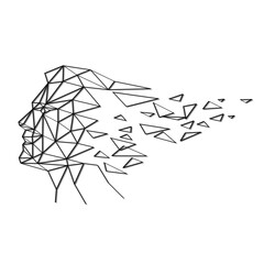 Collapsing face of a man from polygons