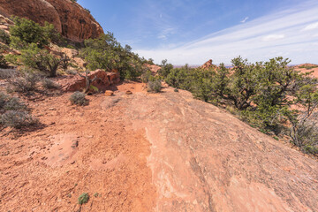 hiking the syncline loop trail in island in the sky district of canyonlands national park, utah, usa