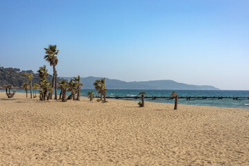 Empty beach with palm trees - 