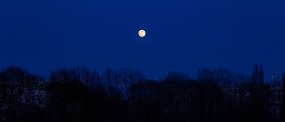 Full moon above trees on the top of a clear night sky © Neven Krcmarek/Wirestock Creators