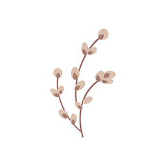 Linear botanical willow twig in doodle style © Tatyana Olina