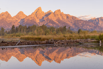 Scenic Autumn Reflection Landscape in Grand Teton National Park Wyoming