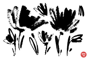 Vector set of ink drawing wild flowers, monochrome artistic botanical illustration, isolated floral elements, hand drawn illustration.