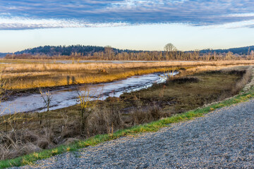 Wathington Estuary Landscape 2