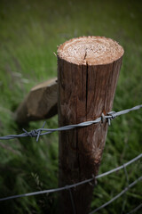 log fence post on barbed wire 