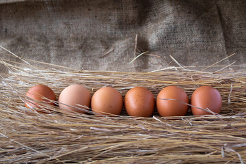 henhouse with organic eggs from free-range hens on natural straw and sack background. horizontal photograph with copy space. © pulinosa