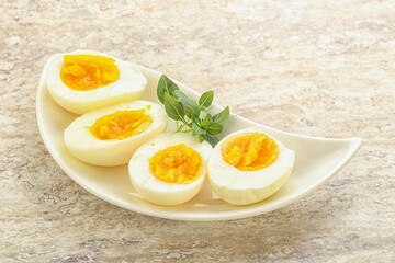 Boiled chicken egg for breakfast