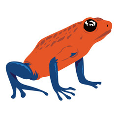 red and blue frog amphibian