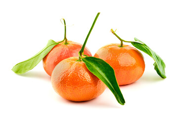 Tangerine fruit on white background