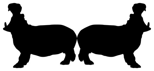 Pair of the Hippopotamus (Hippopotamus Amphibius) Silhouette for Logo, Art Illustration, Icon, Symbol, Pictogram or Graphic Design Element. Format PNG