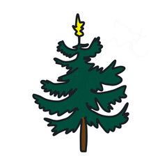 Obraz premium green christmas tree