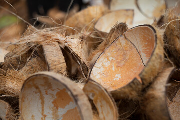 left over coconut shell