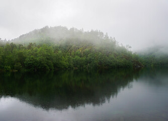 Clear water lake covered by fog and surrounded by green, healthy forest