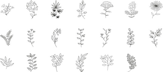 Obraz na płótnie Canvas Herbal Plant Set