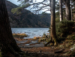 Lake in mountains with big trees and rocky shore