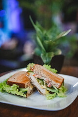 Sandwich de pollo y planta verde en close up