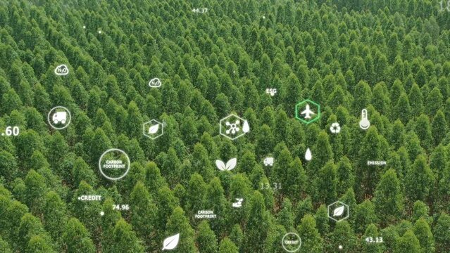 Save the planet earth day low CO2 emission. Aerial forest tree nature view with big data global care go green growth hope future. Net zero waste in ESG ethical business reduce pollution greenhouse gas