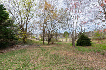 Obraz premium back yard