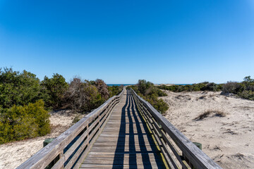Boardwalk over dunes at Cumberland Island National Seashore. Cumberland Island, largest of Georgia's Golden Isles, is managed by National Park Service. 