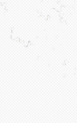 Silver Streamer Anniversary Vector Transparent