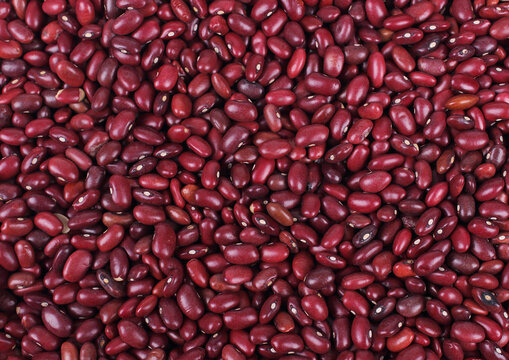 Red Kidney Beans, Rajma, Red Beans, Lal rajma, Rajma dal, red pulses