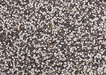 Split Black gram, Urad dal chilka, Black Pulses