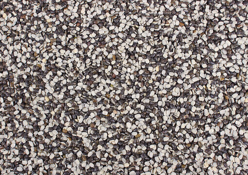 Split Black gram, Urad dal chilka, Black Pulses