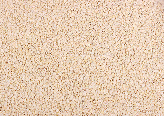 Split  skinned black gram, Urad dal, Urad dhowa