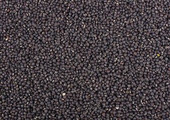 Black gram whole, Urad sabut
