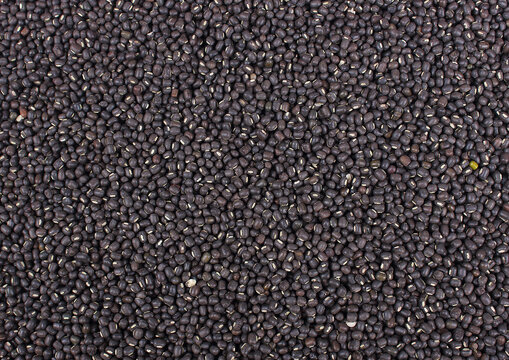 Black Gram Whole, Urad Sabut