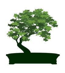 Shape of Spring Tree with Leaves in Pot. Vector outline Illustration. Plant in Garden. Bonsai.