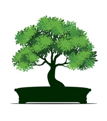 Shape of Spring Tree with Leaves in Pot. Vector outline Illustration. Plant in Garden. Bonsai.