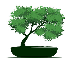 Shape of Spring Tree with Leaves in Pot. Vector outline Illustration. Plant in Garden. Bonsai.