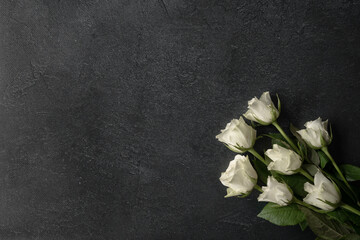 White roses flowers, flat lay composition with copy space on dark background. Funeral mourning and condolences card with text area.