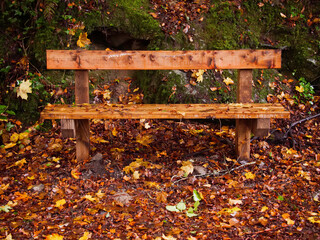 Wooden bench in a forest park with brown fallen leaf on the ground. Autumn or fall season. Nobody. Calm nature background.