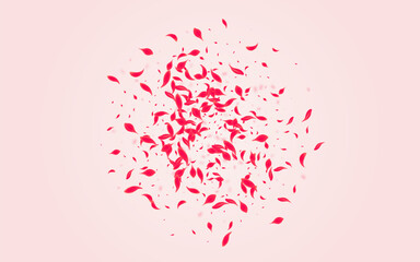 Scarlet Flower Vector Pink Background. Beauty