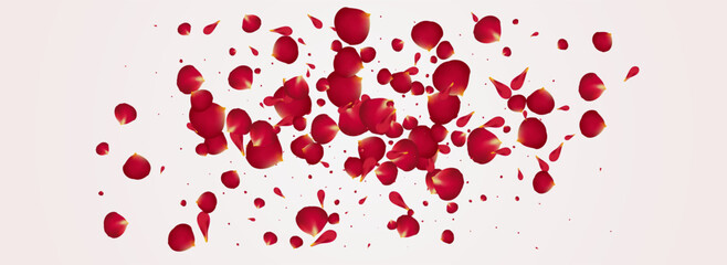 Red Lotus Summer Vector Panoramic White