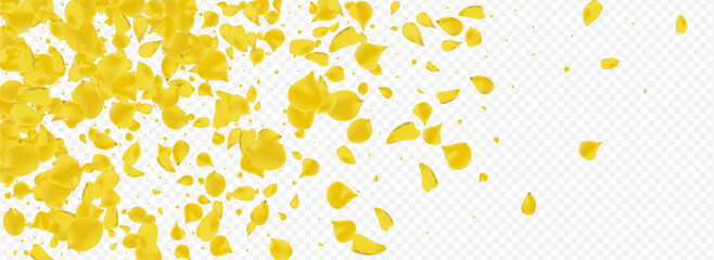 Gold Petal Japan Vector Panoramic Transparent