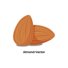Obraz premium Almonds Dry Fruits Illustration Graphic Design Vector