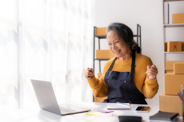 Asian senior female online sale entrepreneur happy, successful and excited, raising fist with laptop