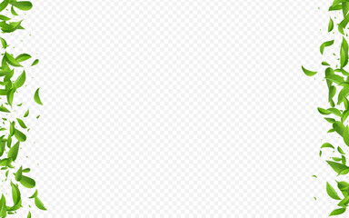 Grassy Greens Fly Vector Transparent Background